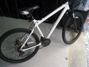 XE DAP.2.JPG