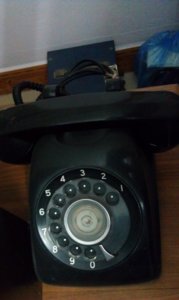 IMAG1166.jpg