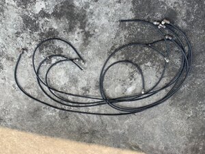 IMG_2550.jpeg