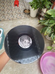 IMG_7805.jpeg