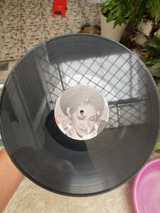 IMG_7806.jpeg