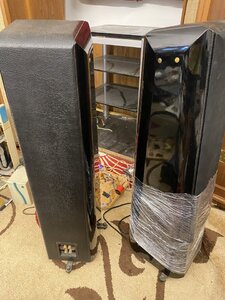 IMG_2176.jpeg