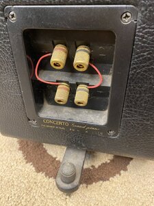 IMG_2177.jpeg