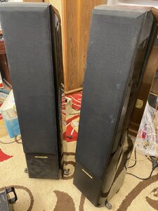 IMG_2179.jpeg