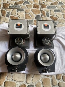 IMG_7867.jpeg