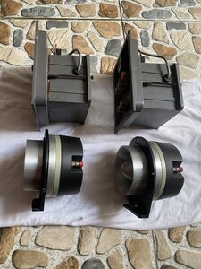 IMG_7862.jpeg
