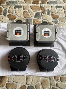 IMG_7863.jpeg