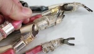 20220402_141825 (1) (1).jpg