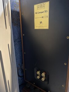 IMG_1345.jpeg