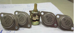 Bờ ù vờ 2 mươi.jpg