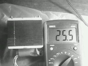 IMG0193A.jpg