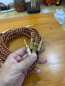 IMG_6274.jpeg