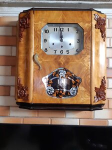 IMG_8952.jpeg