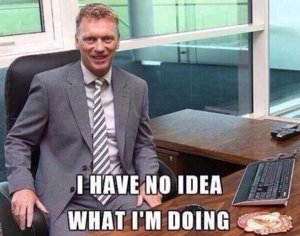 David Moyes.jpg