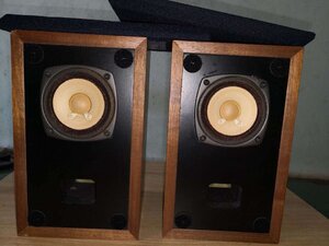 IMG_4070.jpeg