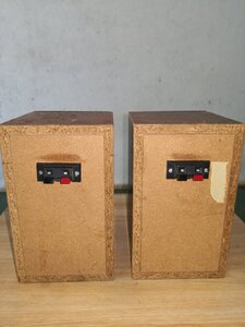 IMG_2567.jpeg