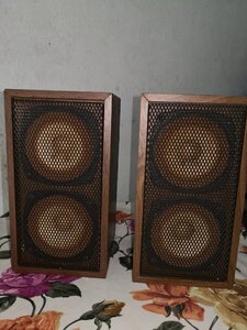 IMG_2355.jpeg