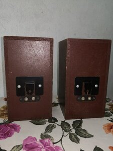 IMG_2356.jpeg
