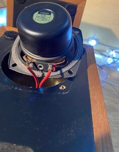 IMG_4503.jpeg