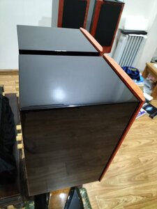 IMG20250112083558.jpg