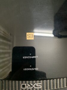 IMG_9287.jpeg