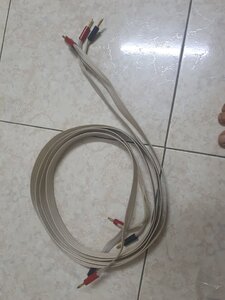 1ed7a7c840a99bf7c2b84.jpg