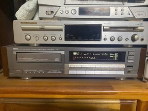 IMG_6338.jpeg