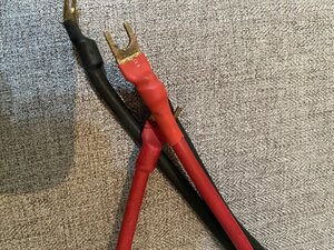 IMG_0739.jpeg