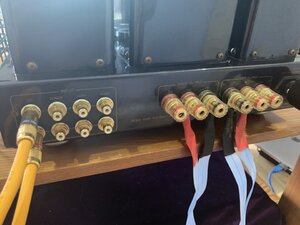 IMG_5433.jpeg