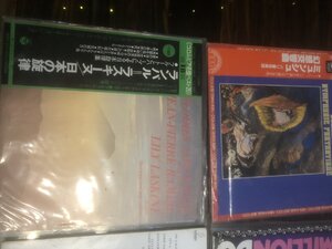 IMG_2989.jpeg