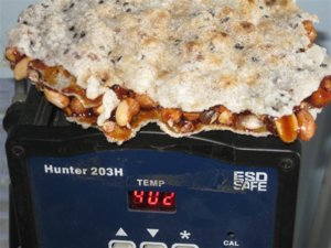 resized_IMG_3787.JPG