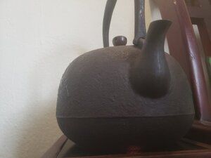 20250216_125957.jpg