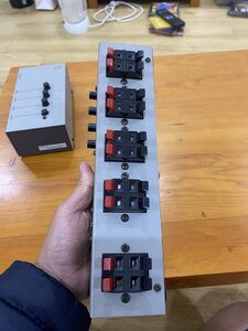 IMG_7382.jpeg