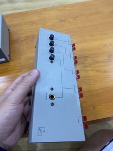 IMG_7381.jpeg