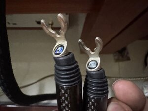 IMG_5293.jpeg