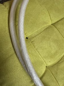 IMG_5454.jpeg