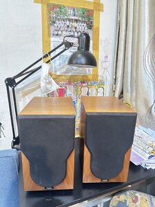 IMG_1453.jpeg