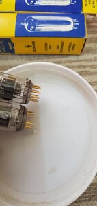 20250301_085707.jpg