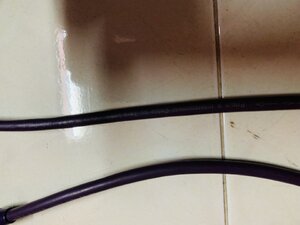 IMG_4948.jpeg