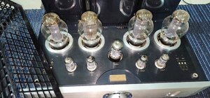 IMG_20250306_094708.jpg
