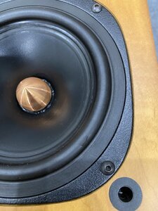 IMG_1313.jpeg