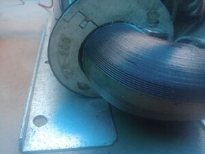20250313_133031.jpg