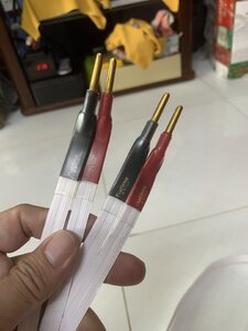 9C1A301E-36E7-4B5F-95E4-3C16A7046718.jpeg