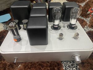 IMG_9025.jpeg
