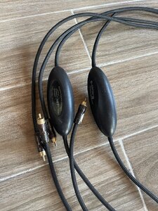 IMG_2175.jpeg
