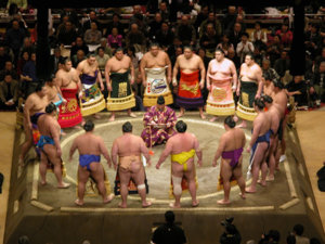 Sumo.jpg