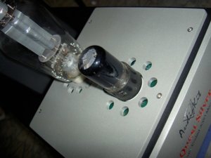 PICT6638.JPG