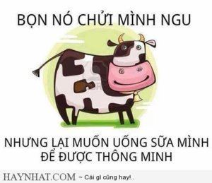 hinh-anh-vui-nghich-ly.jpg