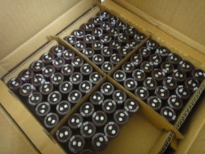 capacitor.jpg