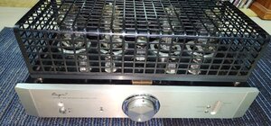 IMG_20250306_094654.jpg